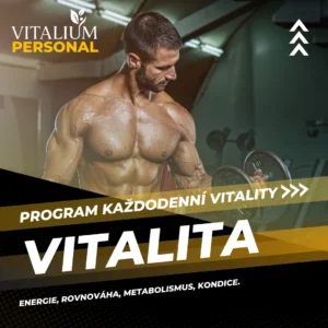 Program Vitalita