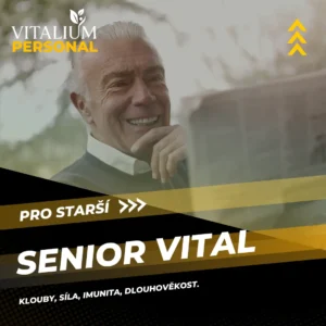 Program Senior Vital
